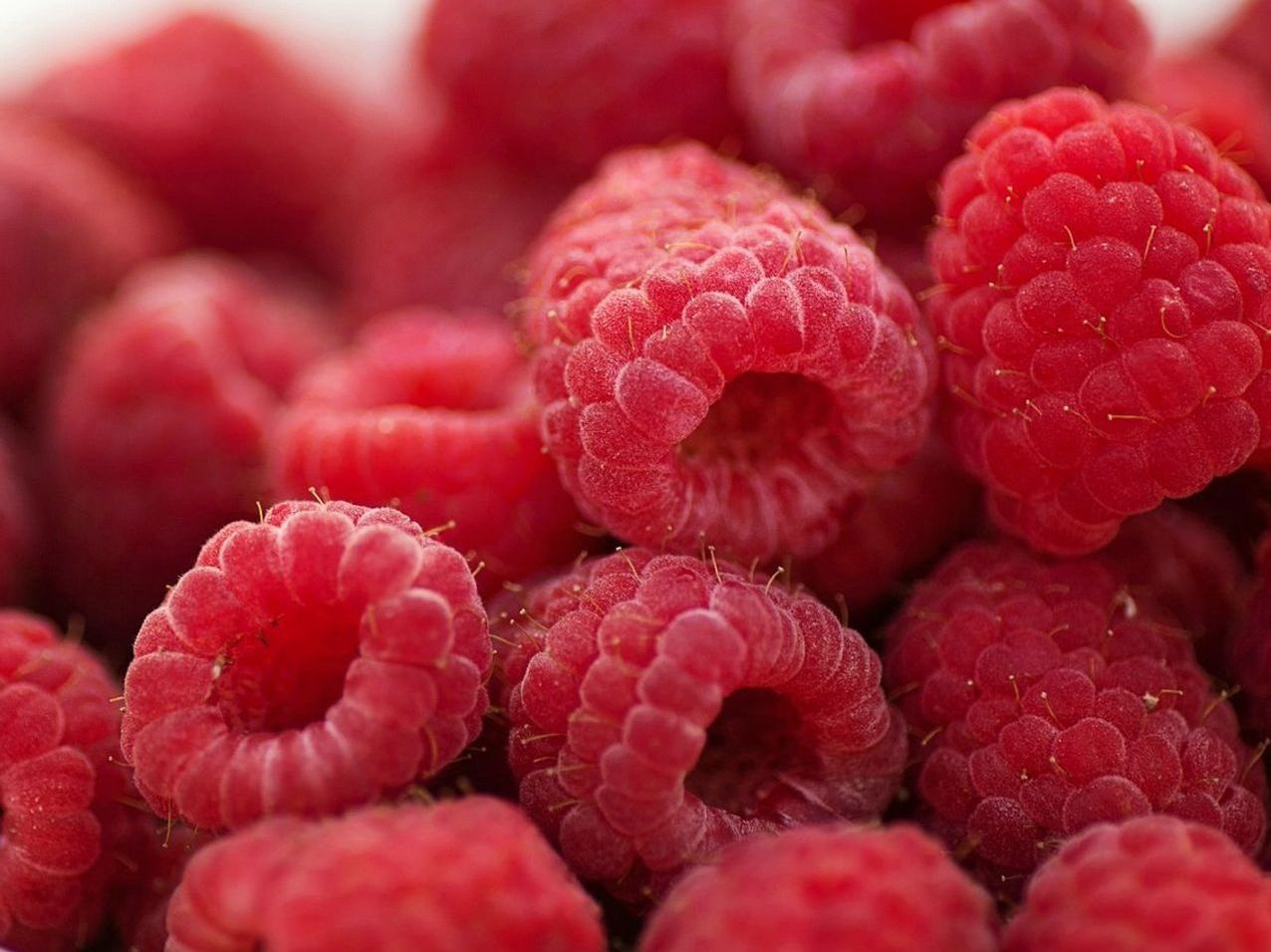 Gran tienda de golosinas con frutas deshidratadas artesanales