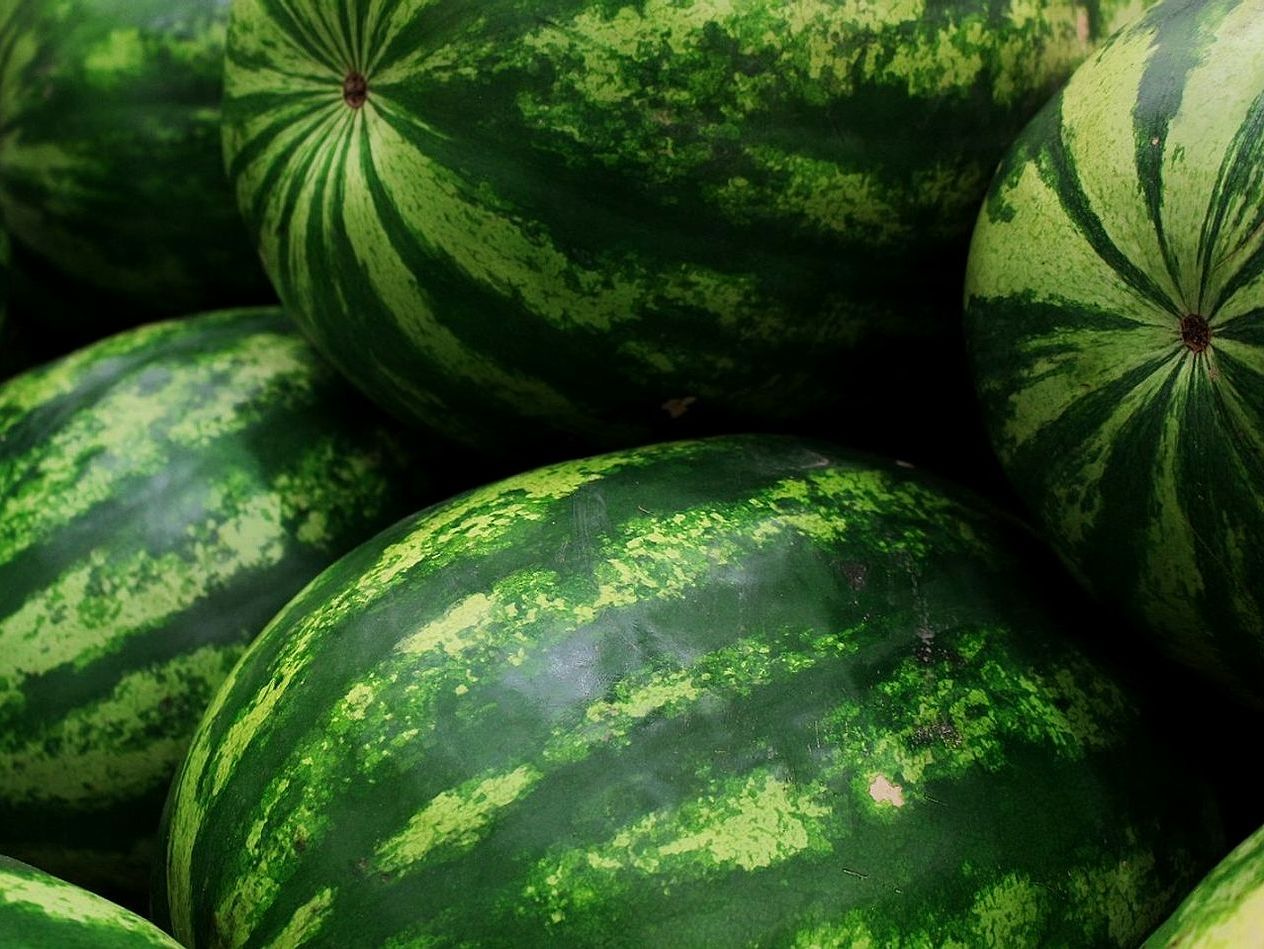 Las uvas de la temporada llegan a tu puerta